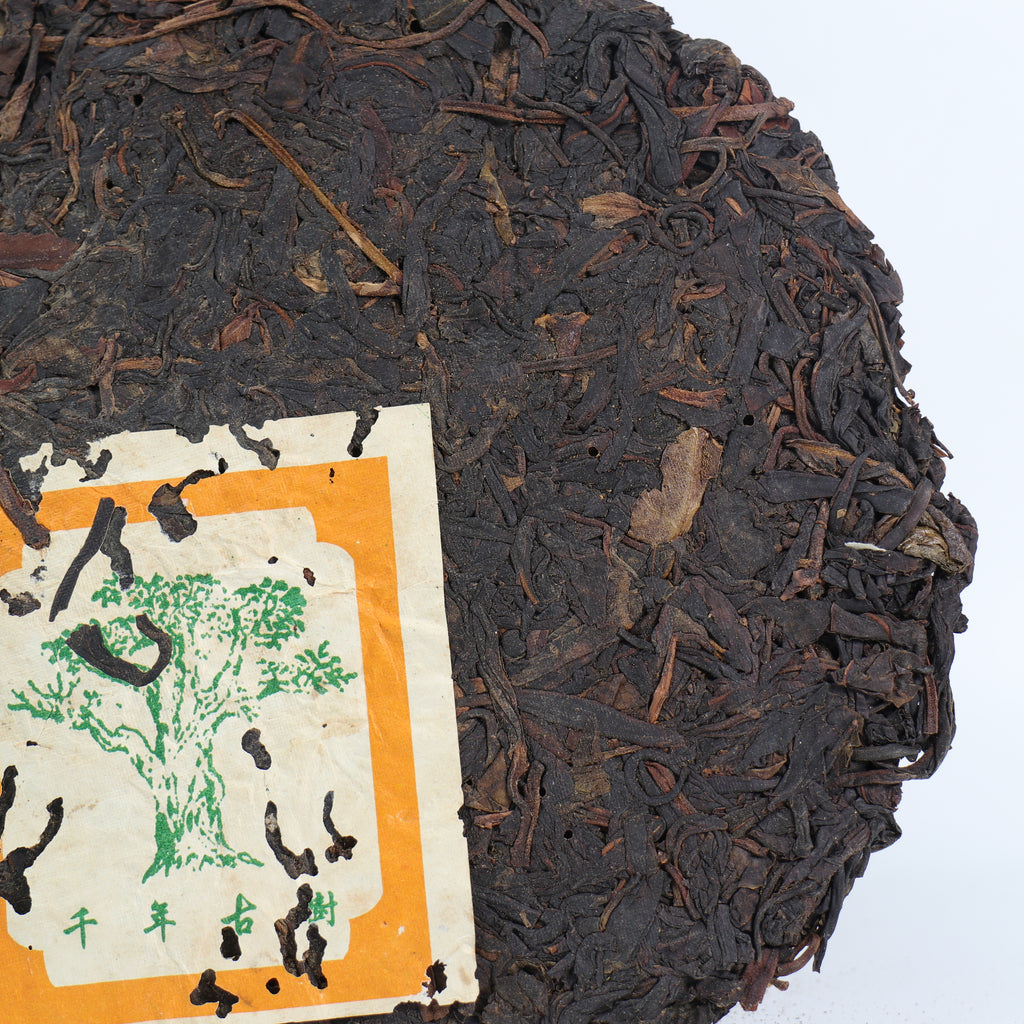 IMG_0277_6f140ccf-0615-4dc4-