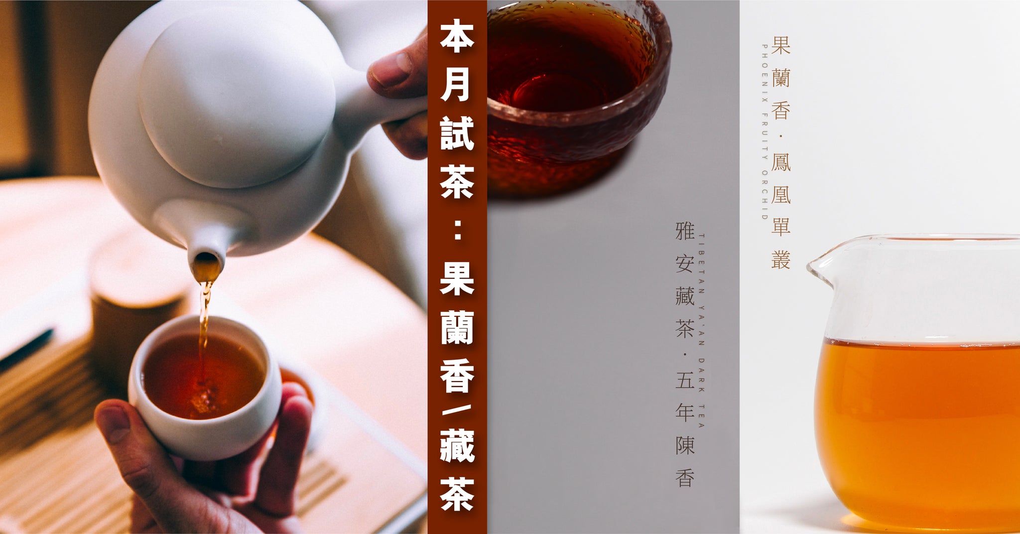 本月試飲：果蘭香單叢 | 雅安藏茶
