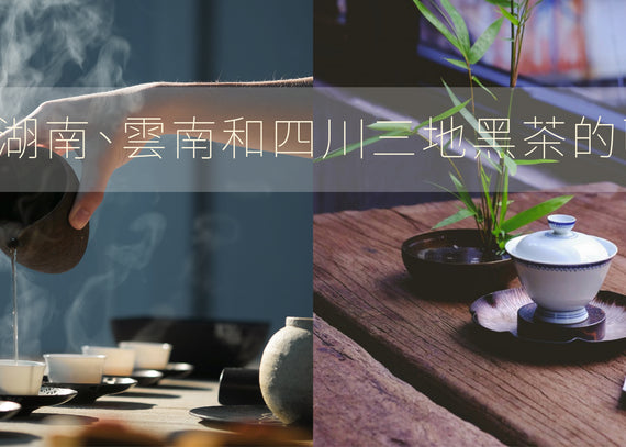 【黑茶=普洱茶？】剖析湖南、雲南和四川三地黑茶的區別