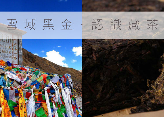 【紅濃陳醇】教您認識雅安藏茶