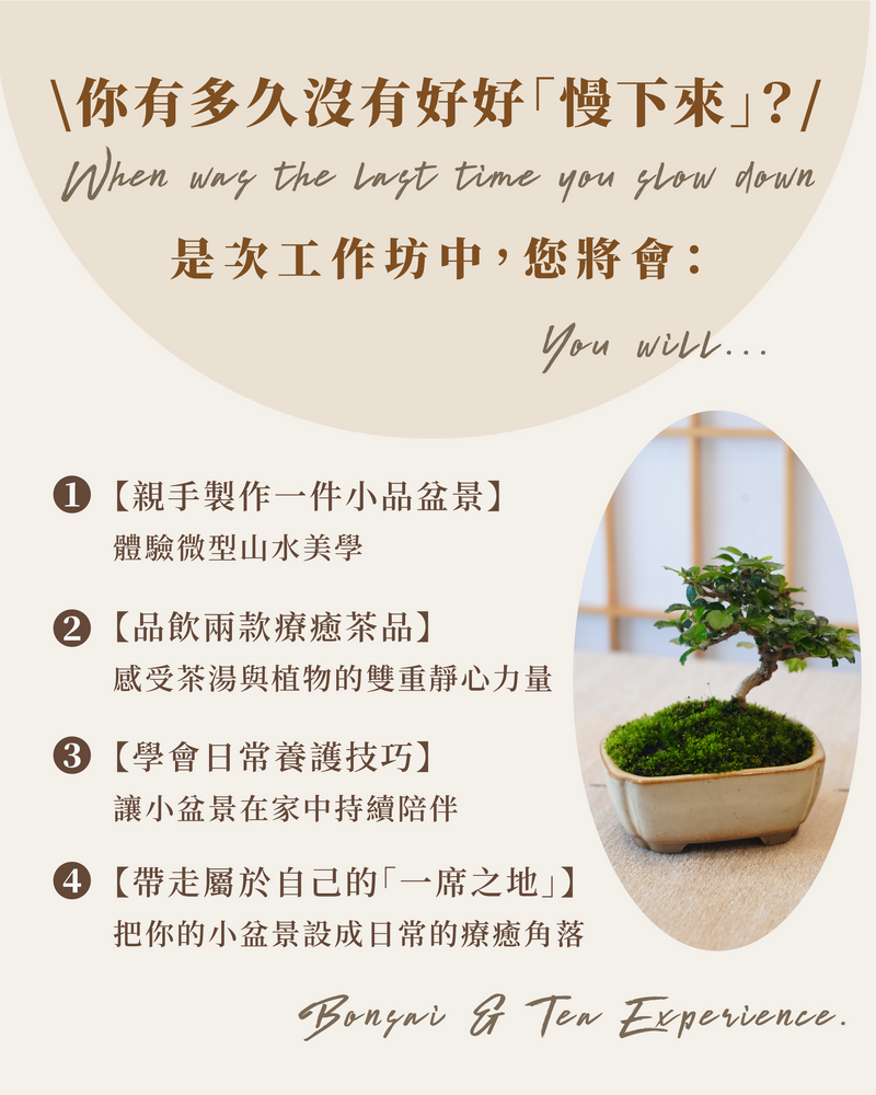 19 Sep｜🍂秋季加場【一盆一景，一茶一心】品茶 X 手作盆景工作坊