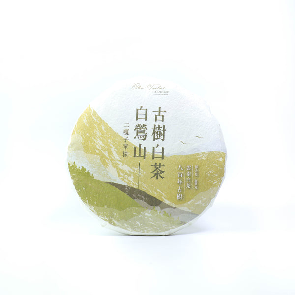 *品牌監製*【2023年臨滄白鶯山二嘎子800年古樹單株】普洱白茶