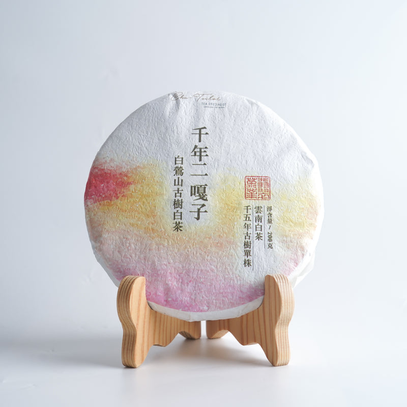 *品牌監製*【2024年臨滄白鶯山千年二嘎子古樹白茶】普洱白茶
