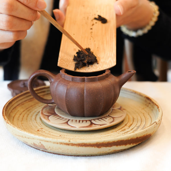 【古樹·純粹風土】新茶熟普試飲組