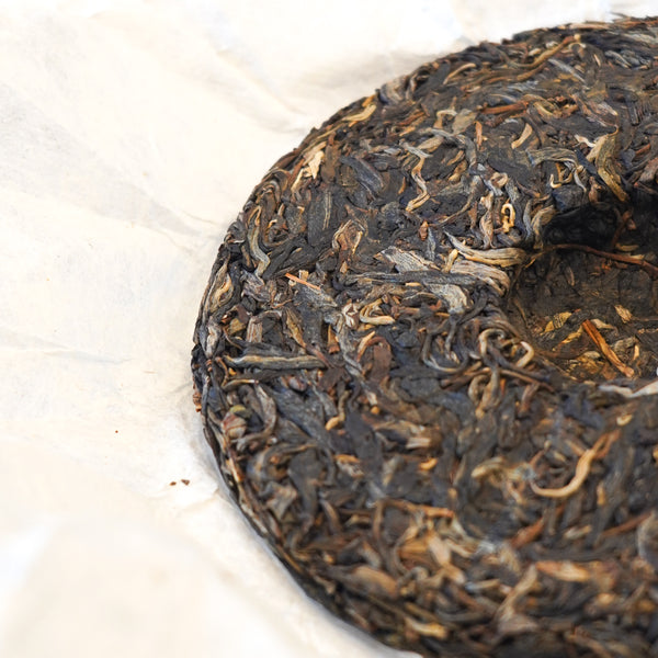 【2019年琅邦早春倚邦貢茶】 普洱生茶