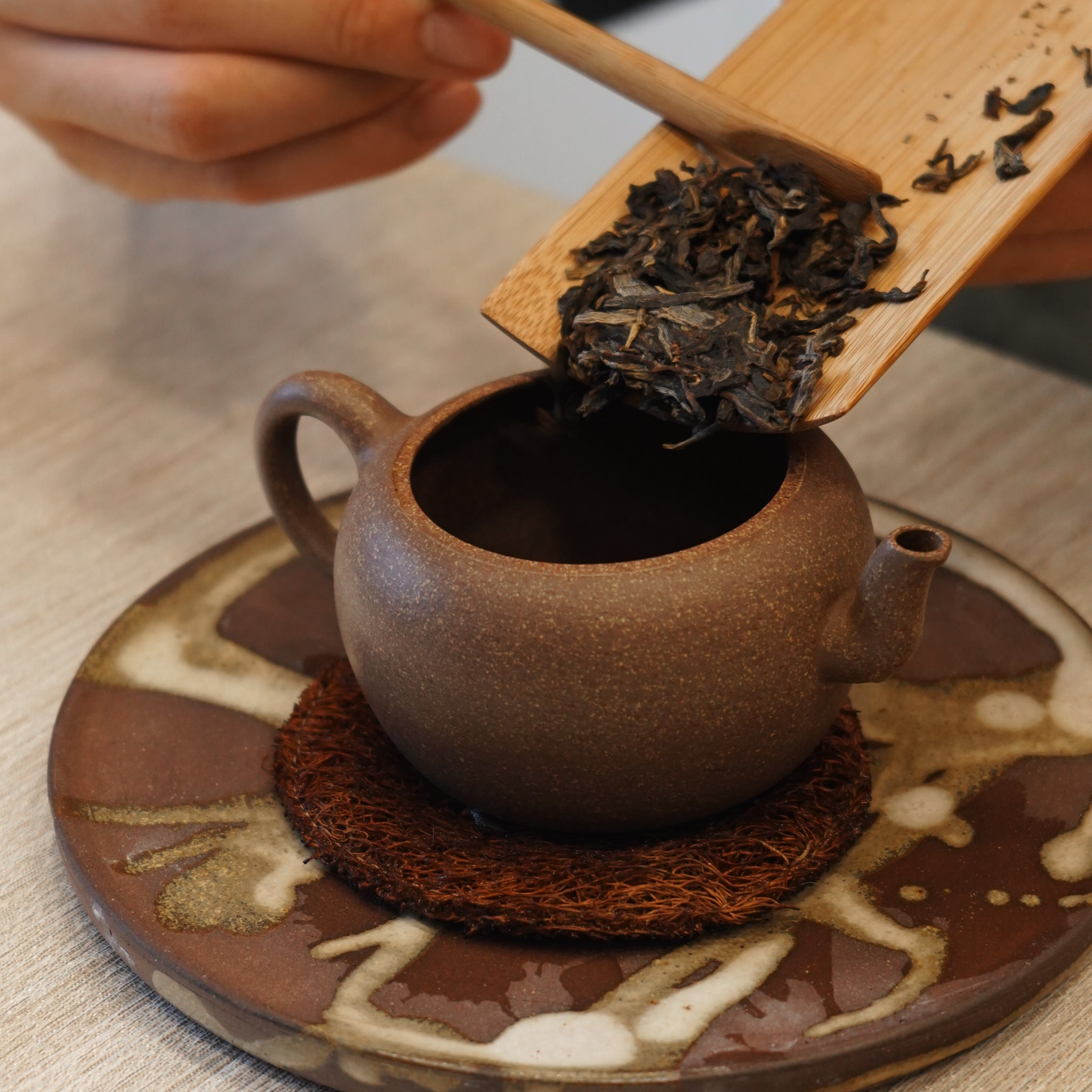 【2019年琅邦早春倚邦貢茶】 普洱生茶