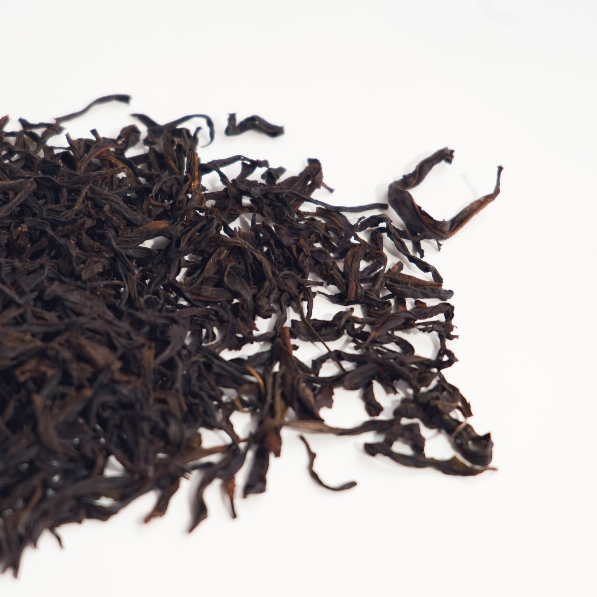 【精品蜜蘭香】老欉鳳凰單叢