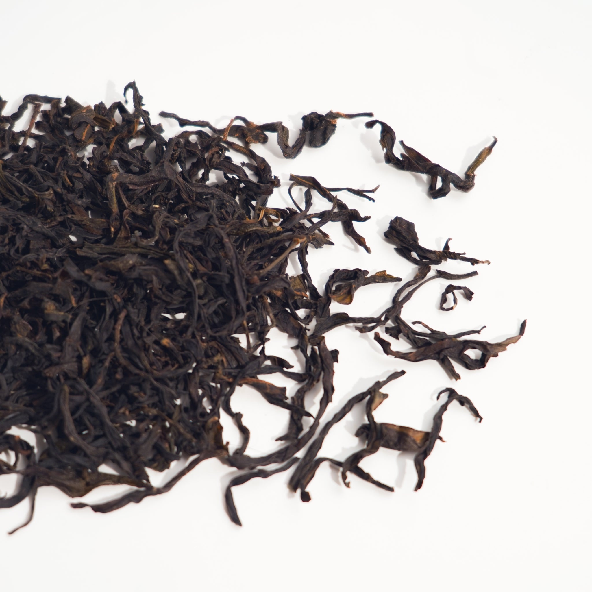 【高山黃枝香】老欉鳳凰單叢