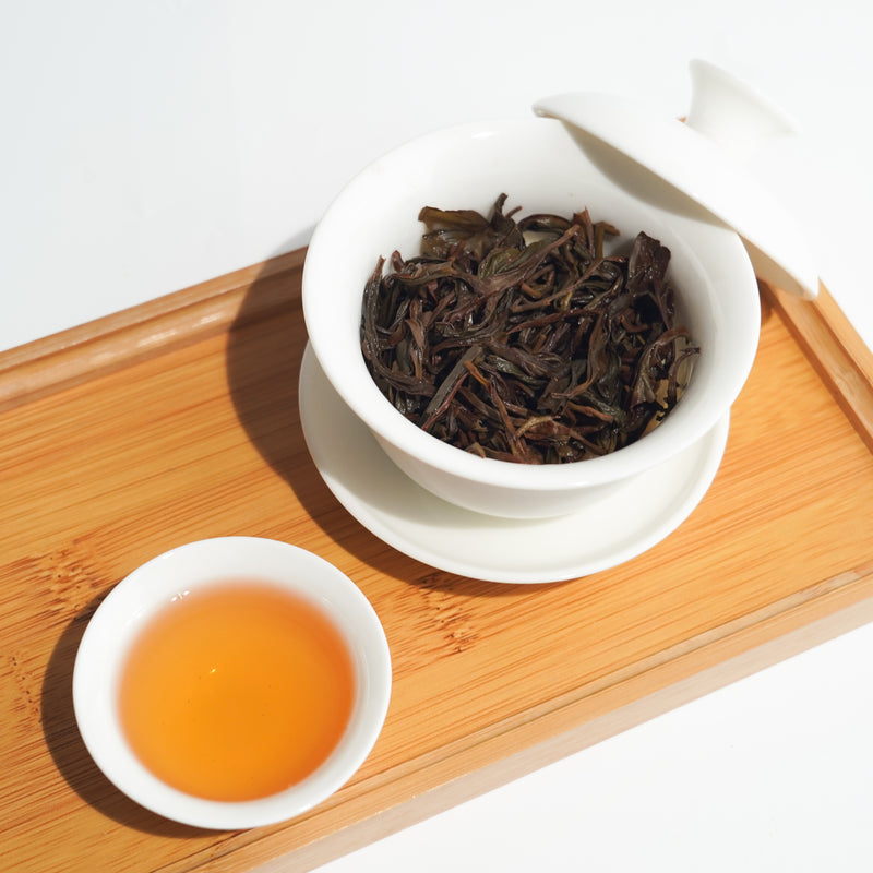 【精品蜜蘭香】老欉鳳凰單叢