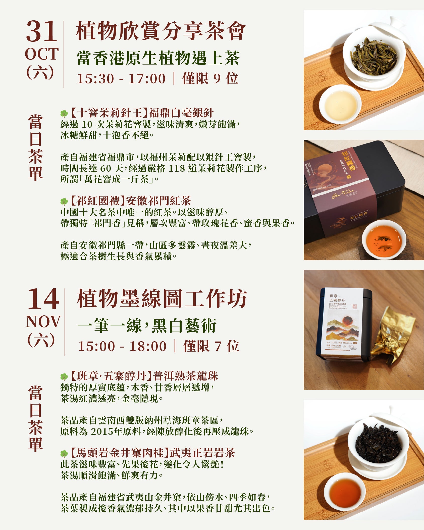 【當香港原生植物遇上茶｜微觀自然】🌿 🍵 31 Oct 植物欣賞分享會 & 14 Nov 植物墨線圖工作坊
