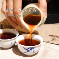 【熟醇·四式茶香】熟普香型試飲組