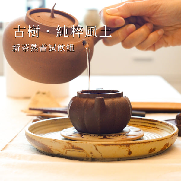 【古樹·純粹風土】新茶熟普試飲組