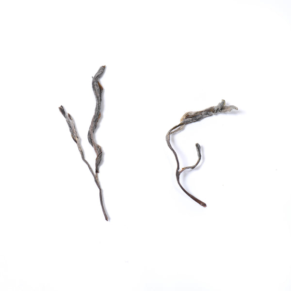 【2021天門山古樹散茶】普洱生茶
