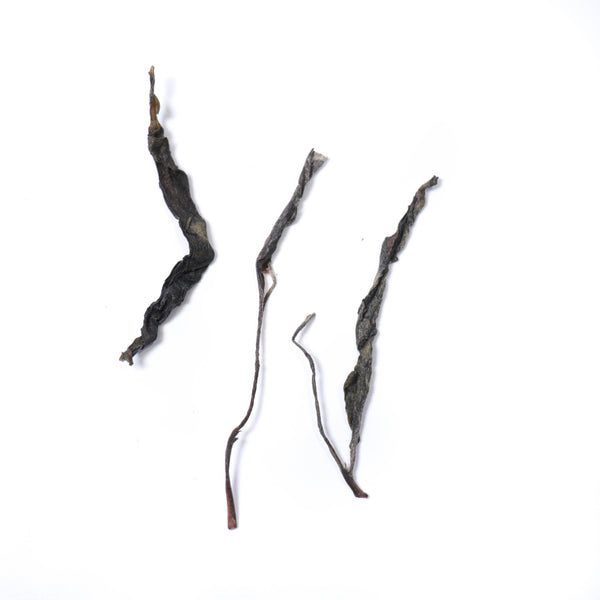 【2021年鳳凰窩古樹散茶】普洱生茶