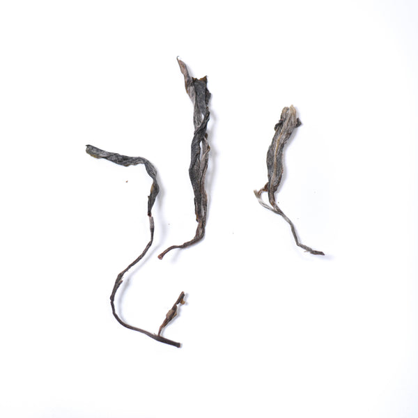【2021白茶園古樹散茶】普洱生茶