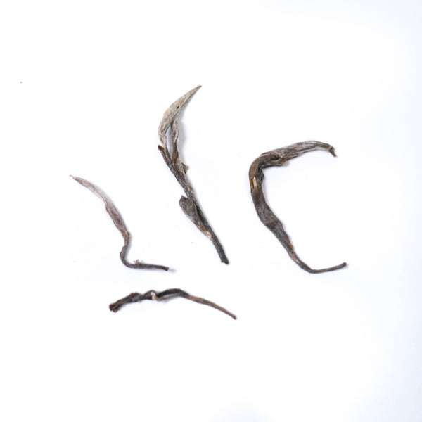 【2021南糯山古樹散茶】普洱生茶 10克裝