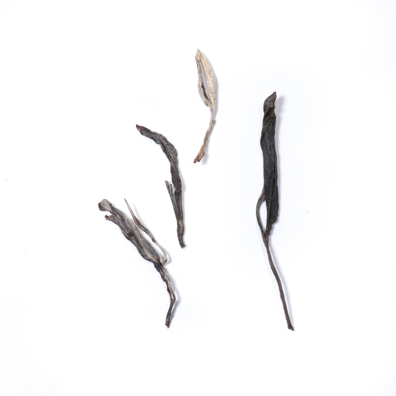 【2021班盆古樹散茶】普洱生茶