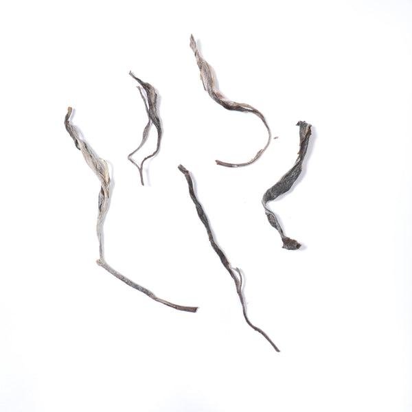 【2021老曼娥甜茶古樹散茶】普洱生茶