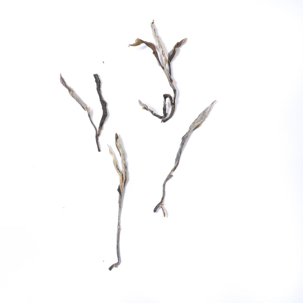 【2021老班章22號茶農古樹散茶】普洱生茶
