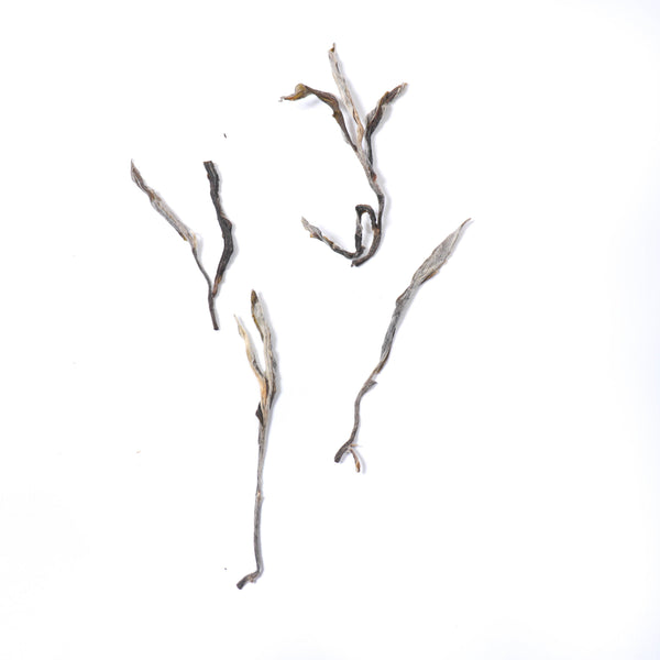 【2021老班章22號茶農古樹散茶】普洱生茶 10克裝