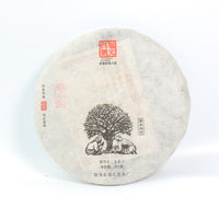 [2014 Fuyuanchang Yiwu Luoshuidong Ancient Tree Pure Material] Pu'er Raw Tea