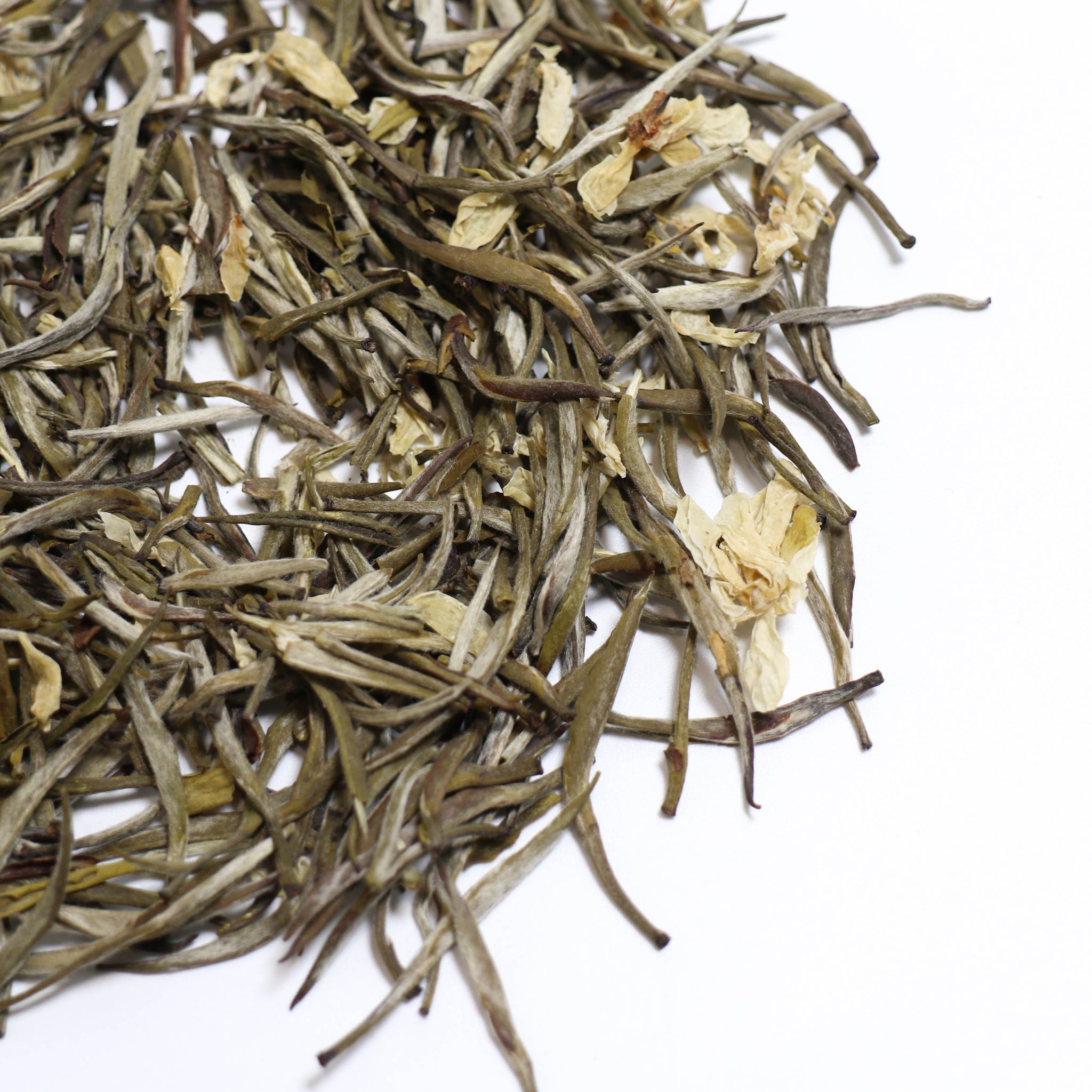 (Sold out) [Jasmine Silver Needle] Fuding White Tea